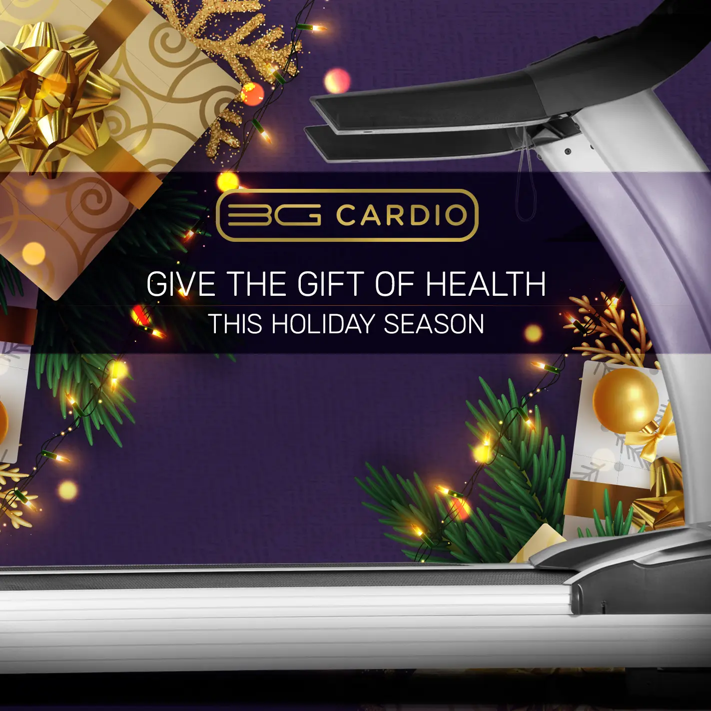 Give the Gift of Health this Holiday Season with 3GCardio.com and our 6 Month Price Match Guarantee